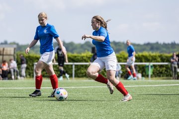 Bild 360 - wBJ SH-Pokalfinale  Holstein-Kiel - SV Viktoria : Ergebnis: 1:0